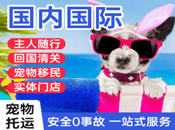 锦州空运国际宠物托运 【国